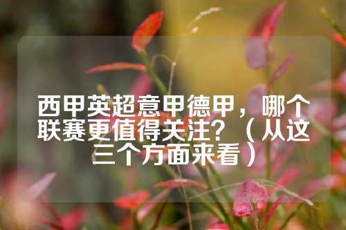术调教方面