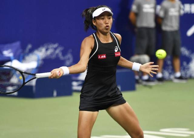 交通秩序 交通秩序