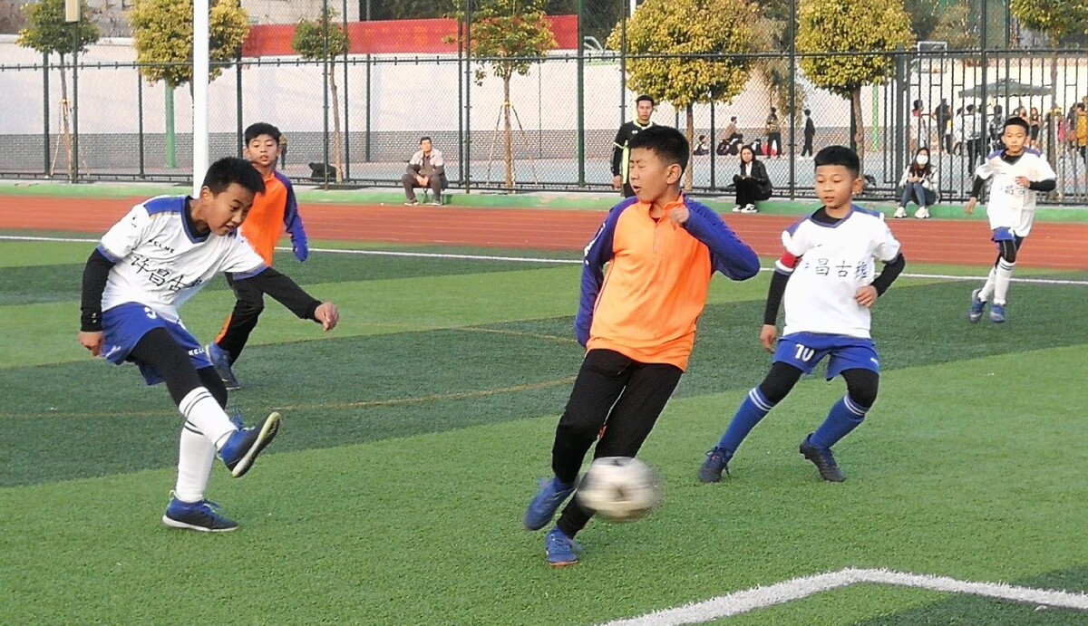 公开立场能 公开立场能