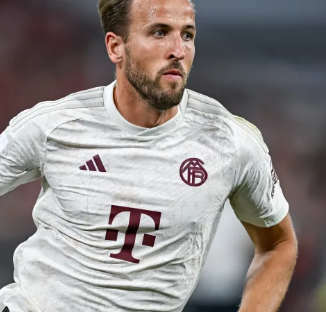 山东省首届 山东省首届