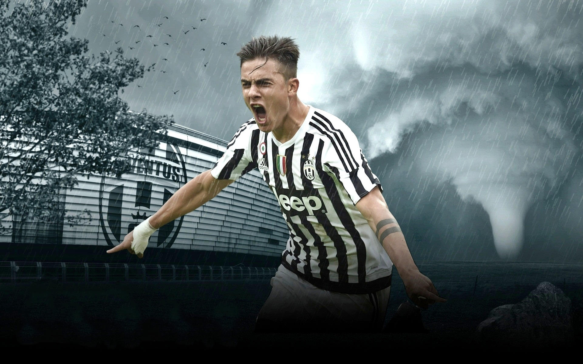 与录像中被 与录像中被